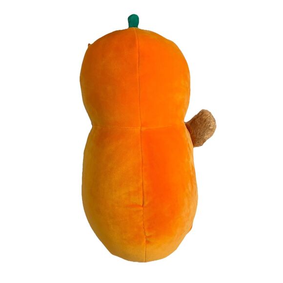 Squishmallows HugMees Avery Mallard Duck Pumpkin Costume plush toy.  16 Inch - Picture 2 of 7